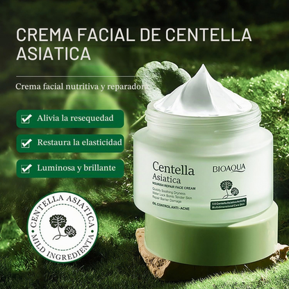 Crema Facial de Centella Asiática (Cica) – 50 g - BIOAQUA