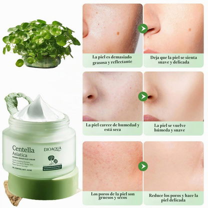 Crema Facial de Centella Asiática (Cica) – 50 g - BIOAQUA