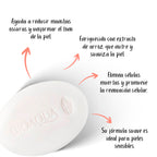 Jabón de Arroz Antimanchas en Barra | Bioaqua